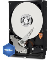 Vendita Western Digital Hard Disk 3.5 Western Digital HDD 1TB WD Blue Desktop 64Mb 7200rpm SataIII 3.5\\" WD10EZEX