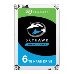 Vendita Seagate Hard Disk 3.5 Hard Disk 3.5 Seagate SkyHawk ST6000VX001 6TB ST6000VX001