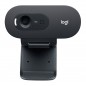 Webcam Logitech C505e (960-001372) Webcam Logitech C505e (960-001372)