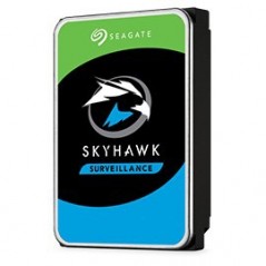 Vendita Seagate Hard Disk 3.5 Hard Disk 3.5 Seagate 2TB SkyHawk ST2000VX015 ST2000VX015