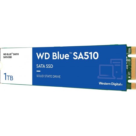 Vendita Western Digital Hard Disk Ssd M.2 Sata Western Digital M.2 Blue 1TB SA510 M.2 WDS100T3B0B WDS100T3B0B