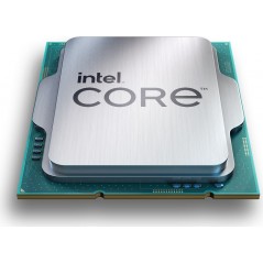Vendita Intel Cpu Socket 1700 Intel Intel Cpu Core i5 13600KF 3.50Ghz 24M Raptor Lake Tray CM8071504821006