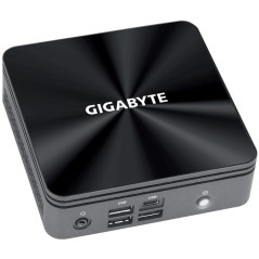 Vendita Gigabyte Barebone Gigabyte BRIX GB-BRi3-10110 GB-BRI3-10110