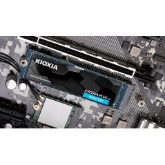 KIOXIA M.2 Exceria Plus G3 1TB LSD10Z001TG8 PCIe 4.0 x4 NVME