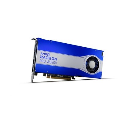 AMD RADEON PRO W6600 8GB Retail (100-506159)