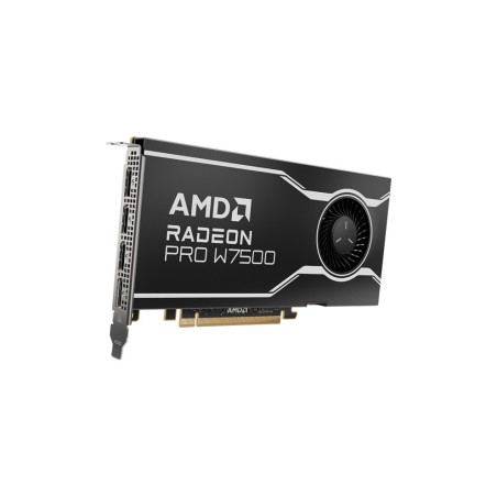 Vendita Amd Schede Video Ati Amd AMD RADEON PRO W7500 8GB (100-300000078) 100-300000078