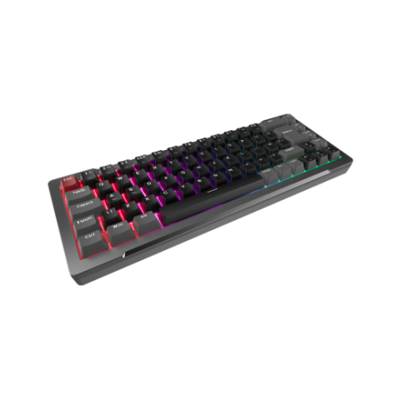 Vendita RAIJINTEK Tastiere per computer RAIJINTEK TASTIERA GAMING MGA-68 BLACK ALLUMINIO ARGB MAGNETIC SWITCH MGA-68 BLACK