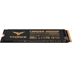 Vendita Team Group Hard Disk Ssd M.2 TEAMGROUP T-Force M.2 CARDEA A440 Pro Graphene 2TB NVMe PCIe Gen4 x4 Offerta del Mese TM...