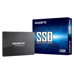 Vendita Gigabyte Hard Disk Ssd Gigabyte SSD 256 GB GP-GSTFS31256GTND GP-GSTFS31256GTND